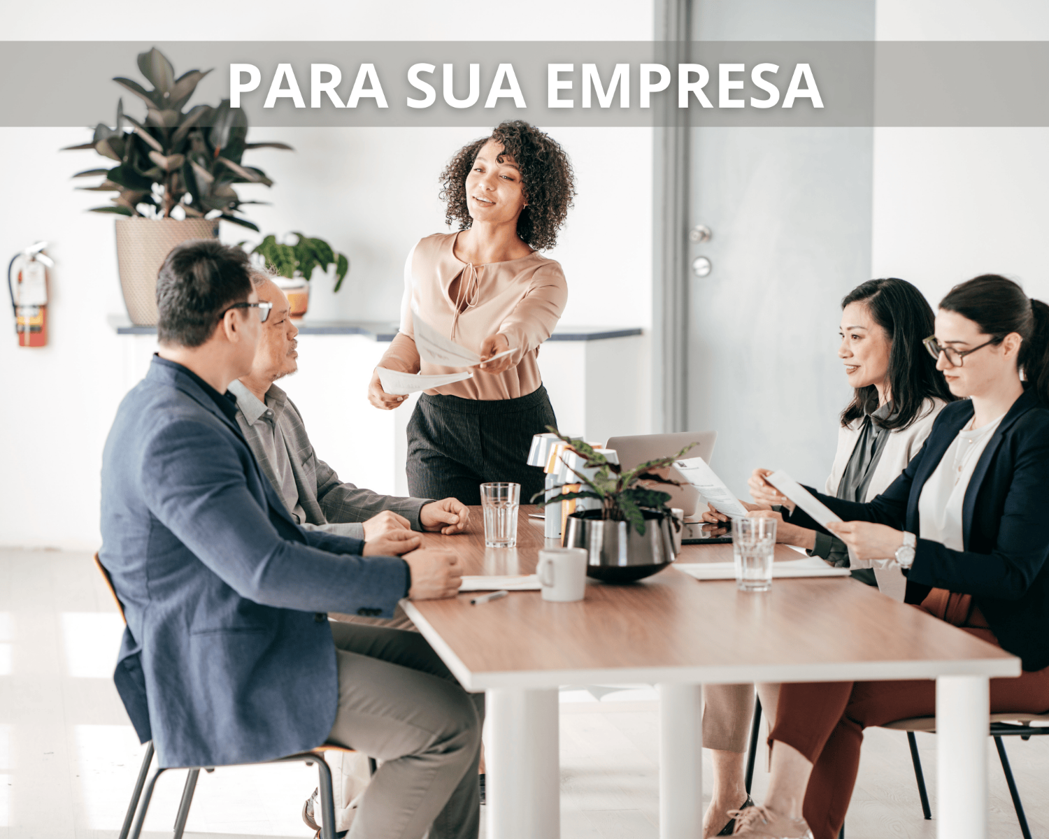 Seguros para empresa